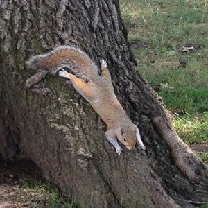 Meet your Posher, Leigh